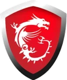 MSI