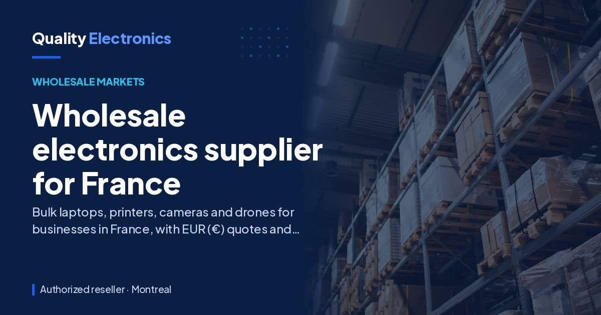 Wholesale electronics supplier for France