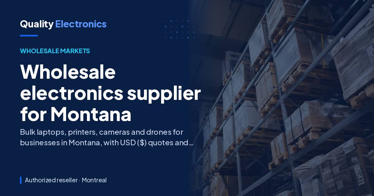 Wholesale electronics supplier for Montana