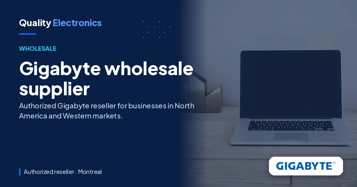 Gigabyte wholesale supplier