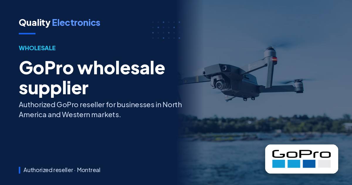 GoPro wholesale supplier