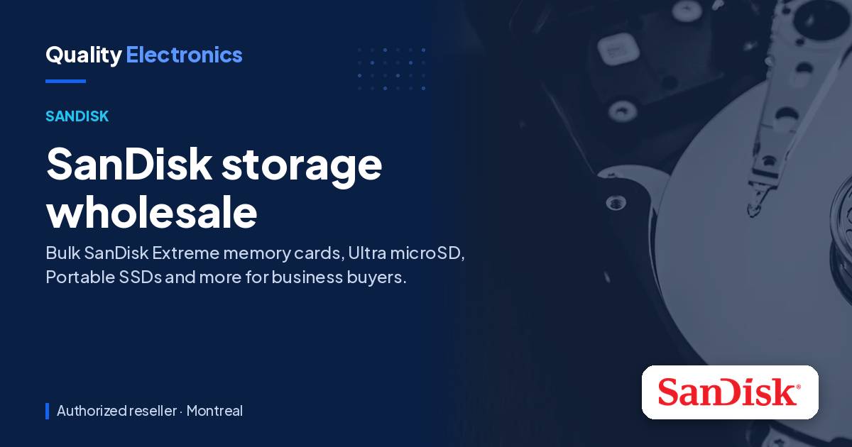 SanDisk storage wholesale